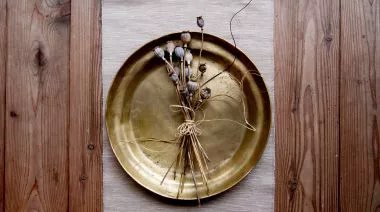 plating-instructions-image